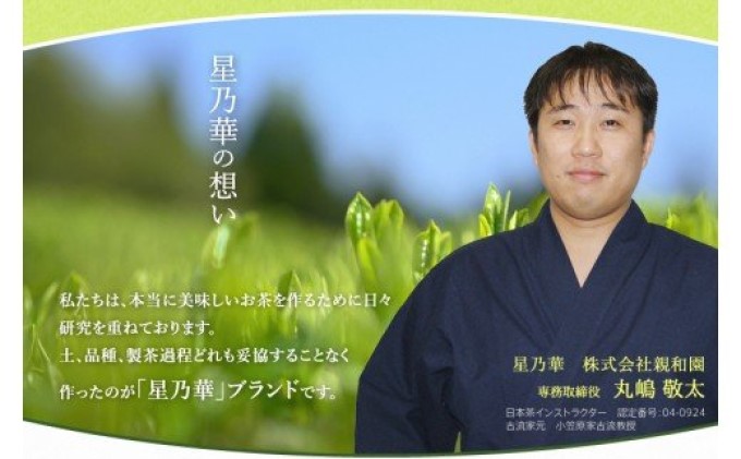 八女茶 緑茶 深蒸し茶 100g×3本詰め お茶