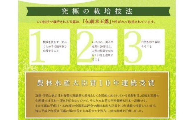 八女茶 緑茶 深蒸し茶 100g×3本詰め お茶