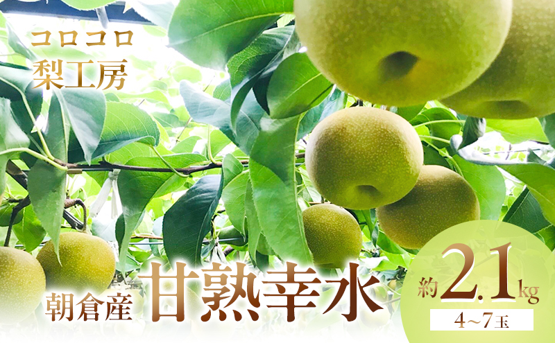 梨 幸水 まるで食べる梨ジュース！！甘熟 幸水梨 約2.1kg 4～7玉入 配送不可 離島 ナシ 果物 フルーツ 先行予約