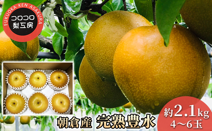 梨 豊水 まるで食べる梨ジュース！！ 完熟 豊水梨 約2.1kg 4～6玉入 配送不可 離島