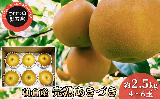 梨 あきづき まるで食べる梨ジュース！！完熟 あきづき梨 約2.5kg 4～6玉入 配送不可 離島