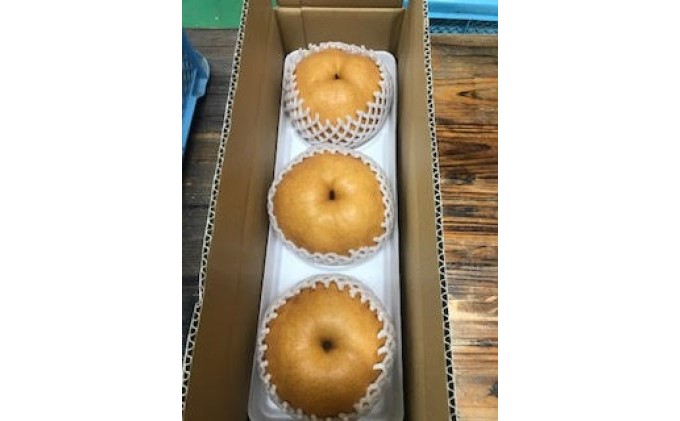 梨 新高梨 甘熟 味に自信あり！！約2.5kg 3～5玉入 配送不可 離島 ナシ 果物 フルーツ 先行予約 