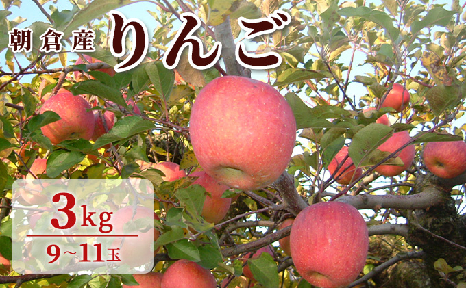りんご 朝倉産 3kg 9玉～11玉 朝倉りんご園