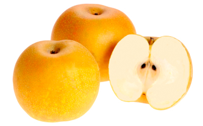 梚 æåç£ æ¬ã®æ¢š çŽ10kg æèŸ²å é
éäžå¯ é¢å³¶ ãã· æç© ãã«ãŒã æžèŸ²è¬æ œå¹