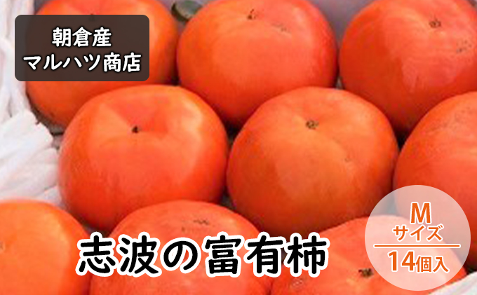 柿 志波の富有柿 Mサイズ×14個入 マルハツ商店 果物類 かき