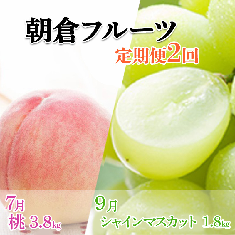 限定 数量 定期便 2回 桃 シャインマスカット 2025年 発送 フルーツ 夏のフルーツ定期便 果物 もも モモ マスカット デザート 朝倉 ※配送不可 離島