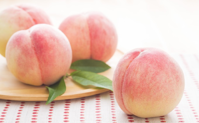 【朝倉市制施行20周年記念企画】限定 数量 定期便 2回 桃 シャインマスカット 2025年 発送 フルーツ 夏のフルーツ定期便 果物 もも モモ マスカット デザート 朝倉 ※配送不可 離島