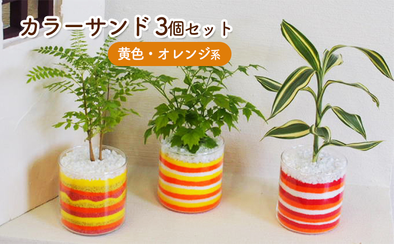 カラーサンド 3個 セット 黄色・オレンジ系 植物 インテリア ガーデン