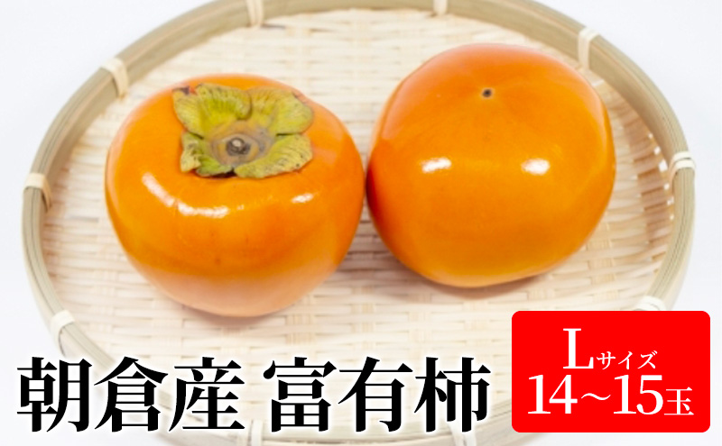柿 富有柿 Lサイズ 14～15玉入 かき カキ 果物 くだもの フルーツ