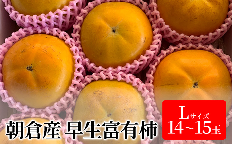 柿 富有柿 早生 Lサイズ 14～15玉入 かき カキ 果物 くだもの フルーツ