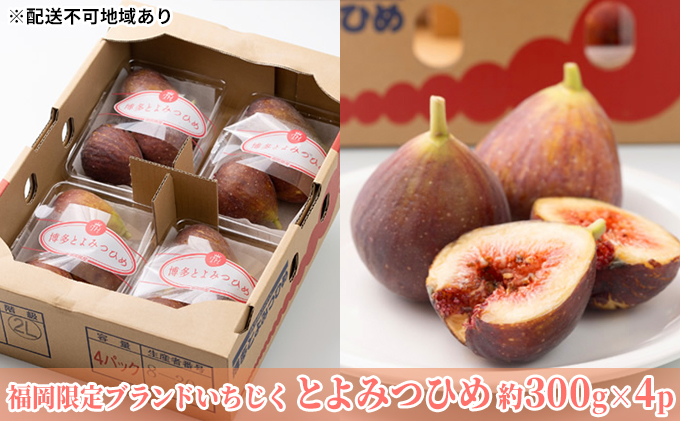 いちじく とよみつひめ 福岡限定 ブランド 約300g×4パック 配送不可 北海道 東北  沖縄 離島 果物詰合せ フルーツ
