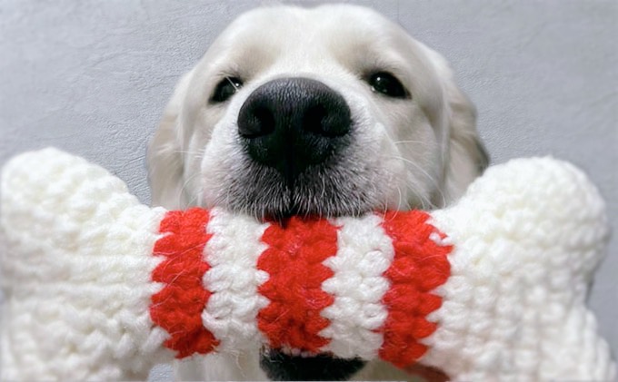 大型 わんちゃん用 Big骨型 おもちゃ アクリル毛糸製 歯みがき キュッキュ モノトーン Jalふるさと納税 Jalのマイルがたまるふるさと納税サイト