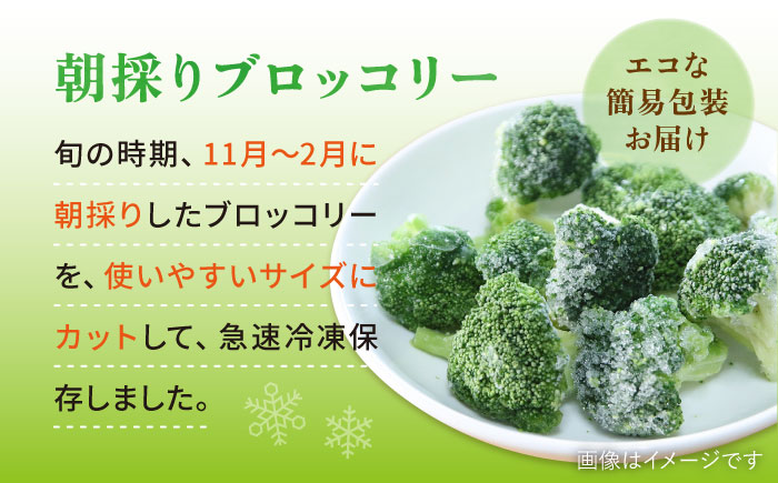 ブロッコリー 1kg 冷凍 旬の時期に急速冷凍 【福岡県糸島産】 糸島市 / オーガニックナガミツファーム 野菜 [AGE053]