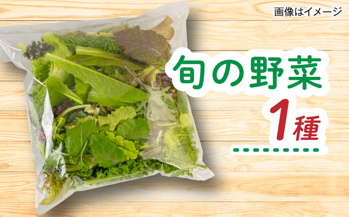 【全4回定期便】糸島産 魚 米 野菜 果物 厳選詰め合わせ MINORI BOX Sサイズ【季節ごとに年4回お届け】　糸島市 / emma.Inc / 米 魚 野菜 詰め合わせ [AOP004] 米 こめ 魚 さかな 野菜 やさい 糸島 詰め合わせ MINORI 定期便