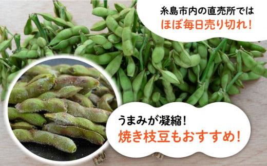 【期間限定！】黒大豆枝豆【幸】1.2kg （400g×3袋） 糸島市 / 染井野菜園 [AZM001]