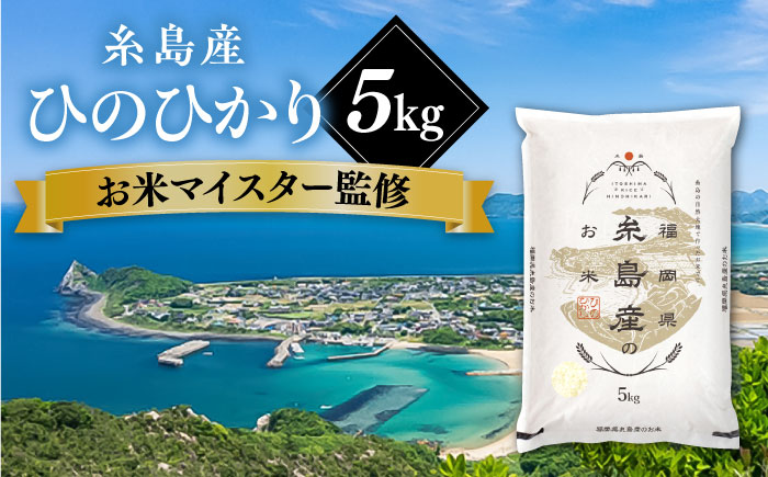 【こだわり精米】【令和6年産】 糸島産 ひのひかり 5kg 糸島市 / RCF 米 お米マイスター [AVM002]