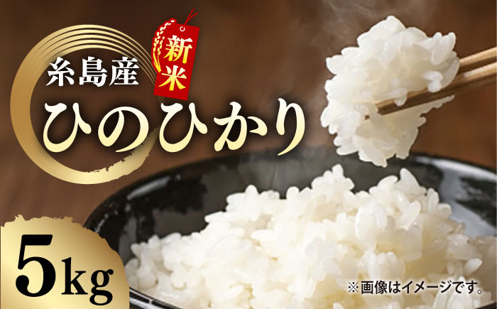 ＼令和6年産新米／糸島産 ひのひかり 5kg 糸島市 / 糸島ファーム青空 [ASM003] 白米 ヒノヒカリ