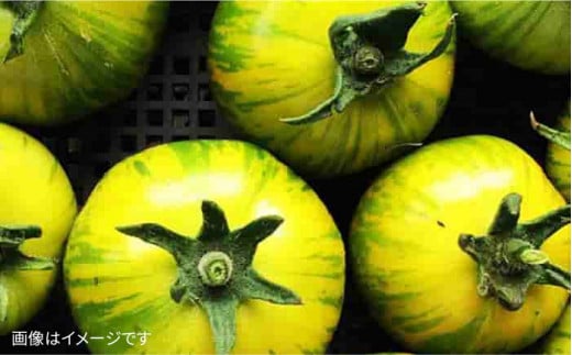 【 全12回 定期便 】【 農薬・化学肥料 不使用 】こだわり 野菜 セット （ 8品 前後 ） 《糸島》【オーガニックナガミツファーム】 [AGE018]