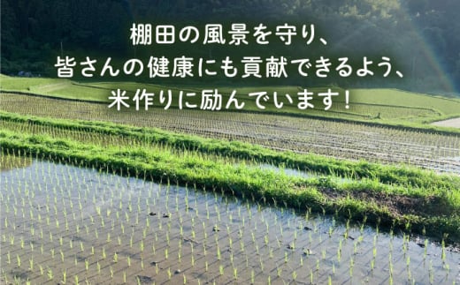 【全3回定期便】 田縁米(でんえんまい)・瑞梅寺(ずいばいじ) 玄米 5kg 糸島市 / NPO法人田縁プロジェクト 米 玄米 定期便 [ATM008]