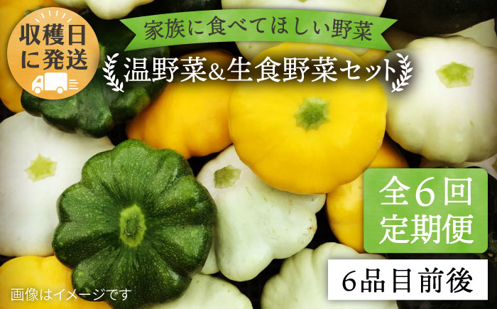 【 全6回 定期便 】 朝採れ 温野菜＆生食野菜セット （ 6品 前後 ）  《糸島》【オーガニックナガミツファーム】  [AGE020]