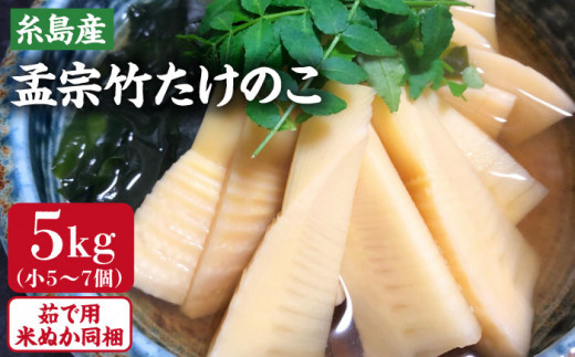 【2025年3月下旬以降順次発送】産地直送「孟宗竹」 5kg 糸島市 / シーブ 筍 たけのこ [AHC026]