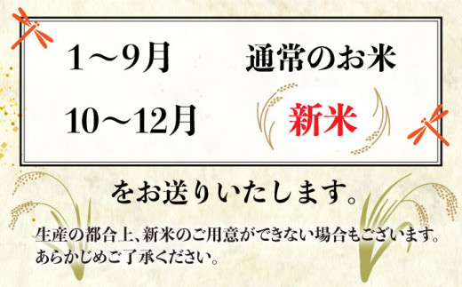 【全3回定期便】ミルキークイーン 5kg 糸島市 / 玄米 ・ 精米 専門店 新飼宗一郎商店 [ADE003]