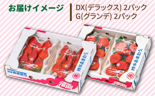 【 期間 限定 】 福岡県 糸島産 いちご あまおう 270g×4 パック 糸島市 / 伊都菜彩 [AED012]