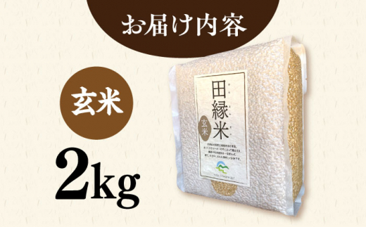 【新米先行予約】田縁米（でんえんまい）・天日（てんじつ）玄米 2kg 【2024年11月以降順次発送】糸島市 / NPO法人田縁プロジェクト [ATM002] 米 お米