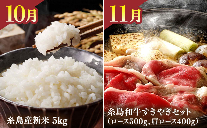 【全12回】【限定30セット】伊都菜彩 プレミアム 定期便 (2人前) 糸島の山の幸、海の幸が詰まったバイヤーオススメの年間定期便 糸島市 / JA糸島産直市場 伊都菜彩 [AED011]