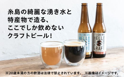 【全6回定期便】【 3種 飲み比べ 】糸島 クラフト ビール 瓶 詰め合わせ 6本 セット 糸島市 / HELLO BREWERY 地ビール ビール [AGM003]