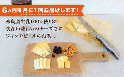 【全6回定期便】糸島産 生乳 100％ 使用 手作り チーズ 充実 7点 セット 糸島市 / 糸島ナチュラルチーズ製造所TAK-タック- [AYC013]