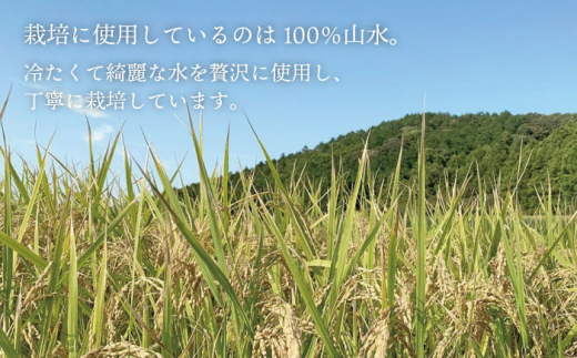 糸島産 ミルキークイーン 5kg糸島市／糸島王丸農園（ 谷口汰一 ）【いとしまごころ】 米 玄米 [AAZ019]