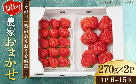 【農家直送！】 農家おまかせ訳あり 270g×2パック 糸島市 / みのりのりん [ABD004]