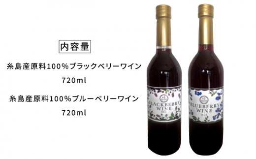 糸島産 ブルーベリー ＆ ブラックベリー ワイン 720ml×2種 セット 糸島市 / HYM FARM [AHM001]