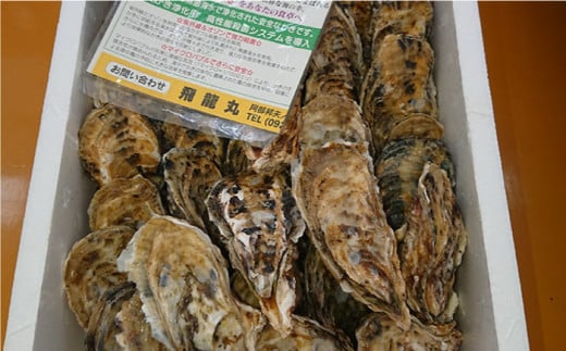 福吉の牡蠣 殻付き 生食用 5kg (簡易 ナイフ 付き) 福岡県 糸島産 糸島市 / かきの阿部 飛龍丸 [AZB003]