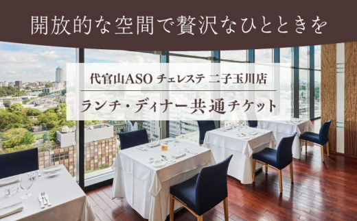 糸島市 / 二子玉川代官山ASO チェレステ 糸島市特産品コース1名様＜ランチ・ディナー共通＞ [AMN001]