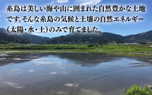 【令和5年産】伊都の米 （ ヒノヒカリ ） 2kg 糸島市 / 伊都福祉サービス協会 [APL001] 米 白米 玄米