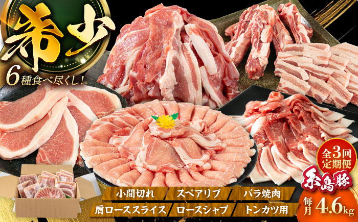 【全3回定期便】合計4.6kg！糸島豚食べ尽くしセット(とんかつ、肩ロース、しゃぶしゃぶ、豚バラ、スペアリブ、小間切れ) 糸島市 / トラヤミートセンター 豚肉 セット [AJD023]