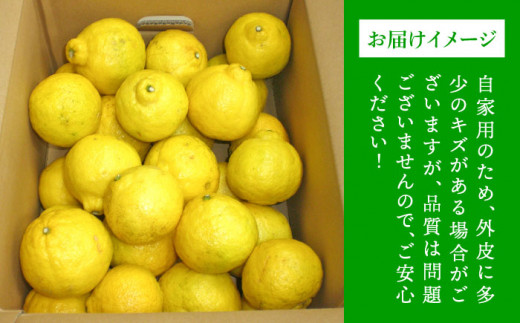 【先行予約】爽やか に甘い！ 糸島産 「 はるか 」  自家用 約 10kg 【2025年3月より順次発送】 二丈赤米産直センター [ABB004]