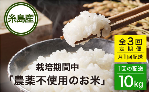 【全3回(月1回)定期便】栽培期間中 農薬不使用のお米 ヒノヒカリ 10kg 糸島市 シーブ [AHC044]