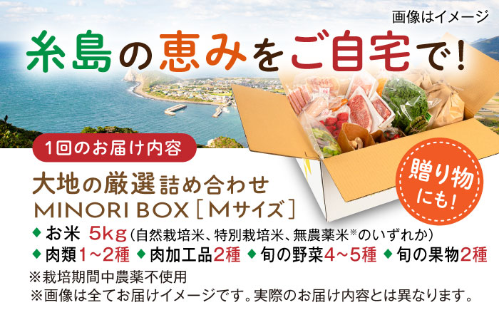 【全12回定期便】糸島産 肉 米 野菜 果物 厳選詰め合わせ MINORI BOX Mサイズ 糸島市 / emma.Inc / 米 肉 野菜 果物 詰め合わせ [AOP014]