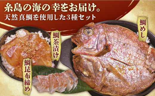 いとしま 天然真鯛 プレミアム セット （ 天然 真鯛 鯛茶漬け・ 天然 真鯛 昆布締め・ 天然 真鯛 めし ） 糸島市 / ワイエスフード [AFO001] 鯛 魚