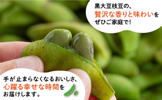 【期間限定！】黒大豆枝豆【幸】1.2kg （400g×3袋） 糸島市 / 染井野菜園 [AZM001]