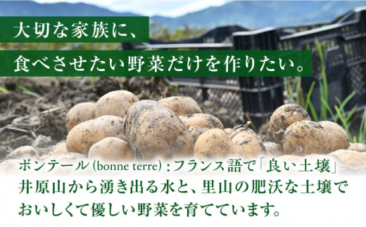 糸島 育ちの 紫 菊いも チップス 80g×1袋 糸島市 / 糸島ボンテール農園 [ACO007] 菊芋 スーパーフード