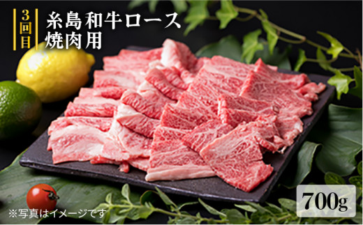 美味しさ 満載 ！ 贅沢お 肉 セット の 定期便 全5回 （月1回） 4人 家族用 【福岡 糸島産 牛肉 豚肉 鶏肉 ステーキ しゃぶしゃぶ すき焼き ヒレ シャトーブリアン ロース】 《糸島》 【糸島ミートデリ工房】 [ACA083]