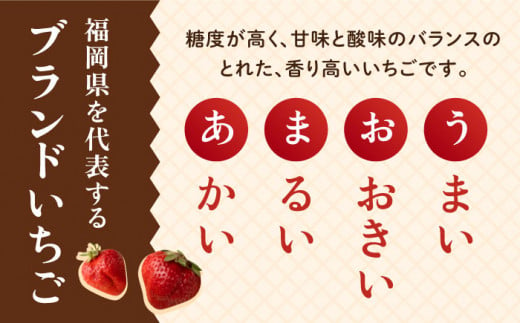 【先行予約】糸島産 あまおう ギフト 箱 ( 12-15粒 ) 【2024年12月上旬以降順次発送】 《糸島》【南国フルーツ株式会社】 [AIK010]