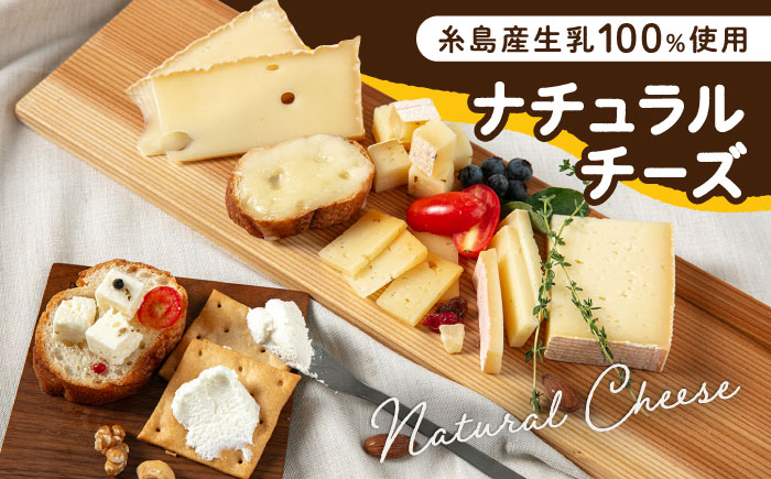 糸島産 生乳 100％ 使用 手作り チーズ 充実 7種 セット 糸島市 / 糸島ナチュラルチーズ製造所TAK-タック- [AYC004]
