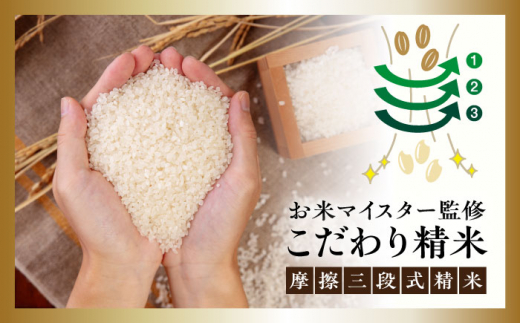 【こだわり精米】令和5年 糸島産 夢つくし 20kg(5kg×4) 糸島市 / RCF 米 お米マイスター [AVM009] 米 こめ コメ 白米 夢つくし ごはん 飯