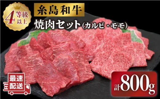 JA糸島 黒毛和牛 焼肉 セット カルビ モモ 800g 糸島市 / JA糸島産直市場 伊都菜彩 [AED008]