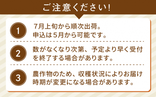 【全2回定期便】果物みたいに『極甘』早朝収穫 とうもろこし Lサイズ(300g)×5本 糸島市 / 有限会社ウラタ農園 [ALI005]